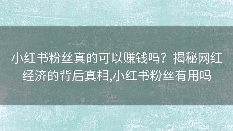 小红书粉丝真的可以赚钱吗？揭秘网红经济的背后真相,小红书粉丝有用吗