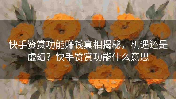 快手赞赏功能赚钱真相揭秘，机遇还是虚幻？快手赞赏功能什么意思