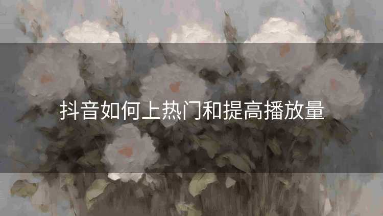 抖音如何上热门和提高播放量