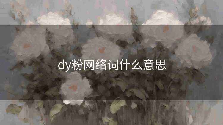 dy粉网络词什么意思