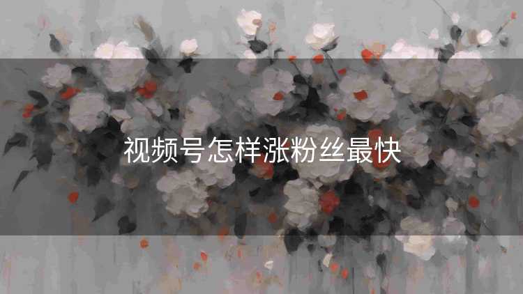 视频号怎样涨粉丝最快