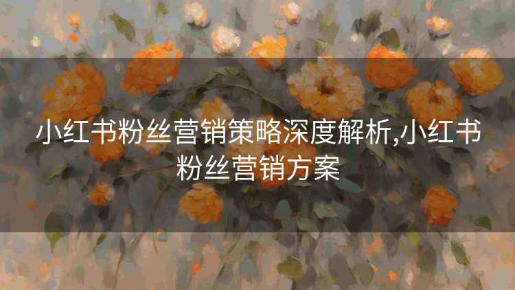 小红书粉丝营销策略深度解析,小红书粉丝营销方案