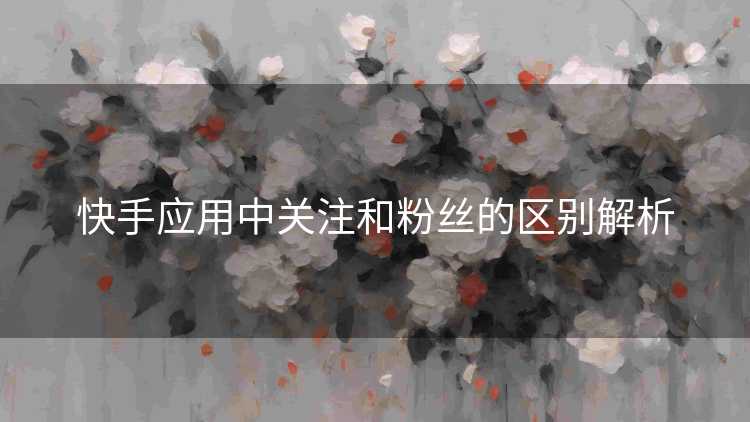 快手应用中关注和粉丝的区别解析