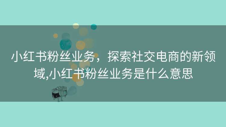 小红书粉丝业务，探索社交电商的新领域,小红书粉丝业务是什么意思