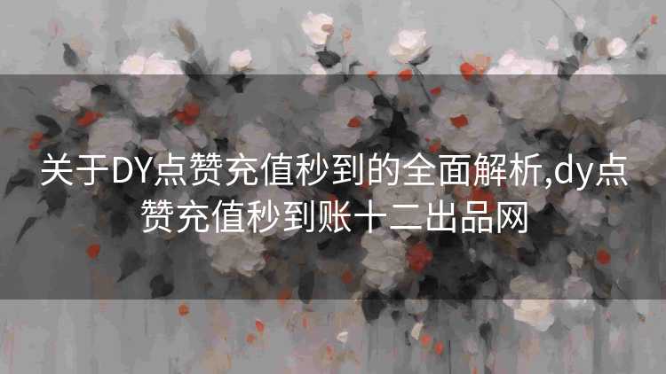 关于DY点赞充值秒到的全面解析,dy点赞充值秒到账十二出品网