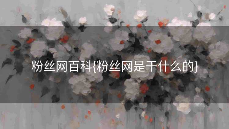粉丝网百科{粉丝网是干什么的}
