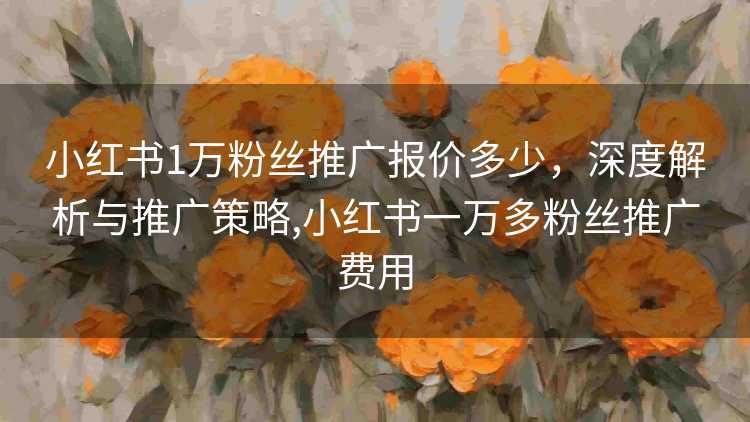 小红书1万粉丝推广报价多少，深度解析与推广策略,小红书一万多粉丝推广费用