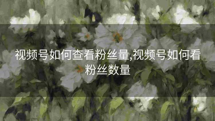 视频号如何查看粉丝量,视频号如何看粉丝数量