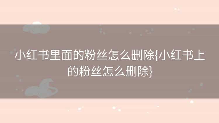 小红书里面的粉丝怎么删除{小红书上的粉丝怎么删除}