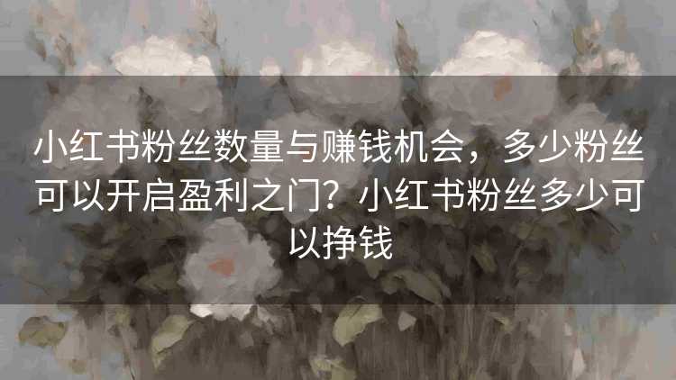 小红书粉丝数量与赚钱机会，多少粉丝可以开启盈利之门？小红书粉丝多少可以挣钱