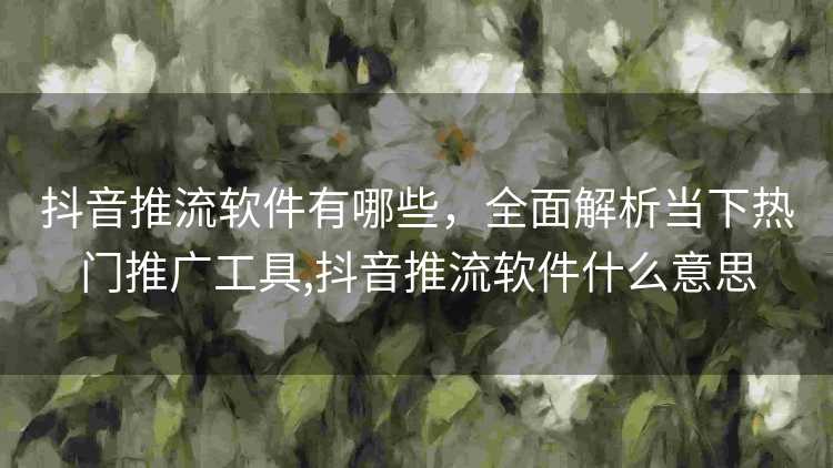抖音推流软件有哪些，全面解析当下热门推广工具,抖音推流软件什么意思