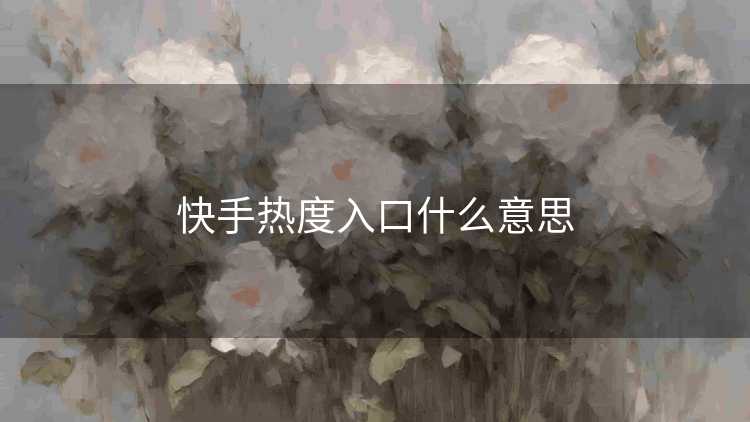 快手热度入口什么意思