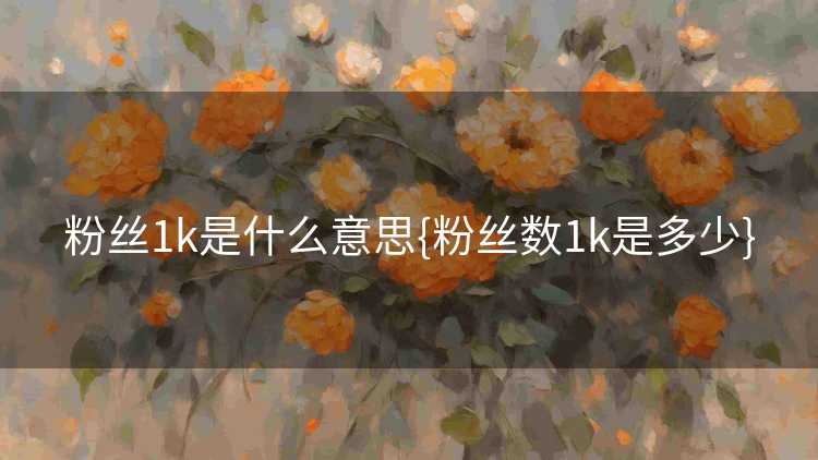 粉丝1k是什么意思{粉丝数1k是多少}