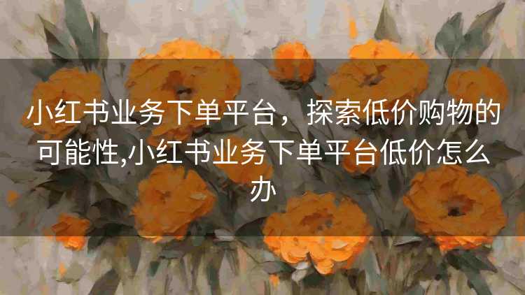 小红书业务下单平台，探索低价购物的可能性,小红书业务下单平台低价怎么办