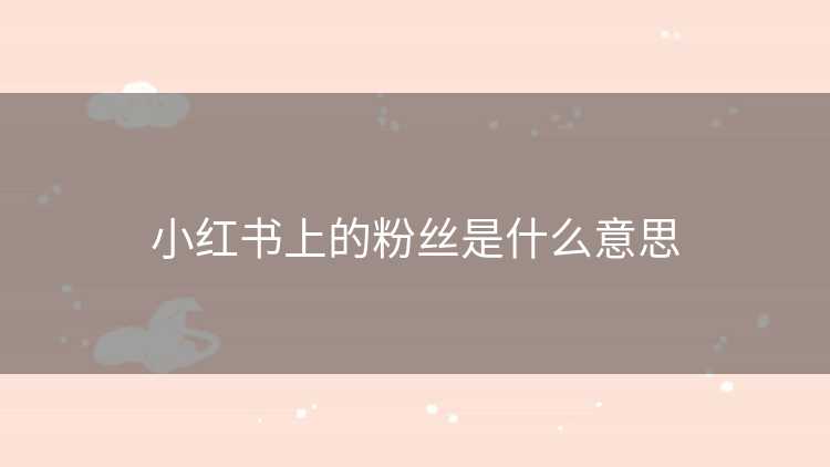 小红书上的粉丝是什么意思