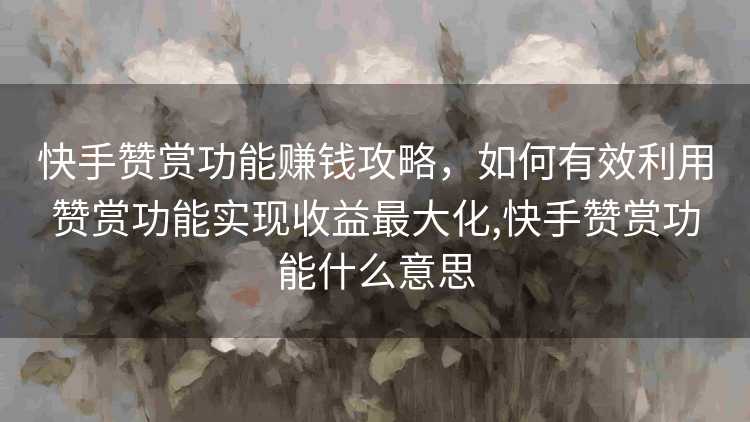 快手赞赏功能赚钱攻略，如何有效利用赞赏功能实现收益最大化,快手赞赏功能什么意思