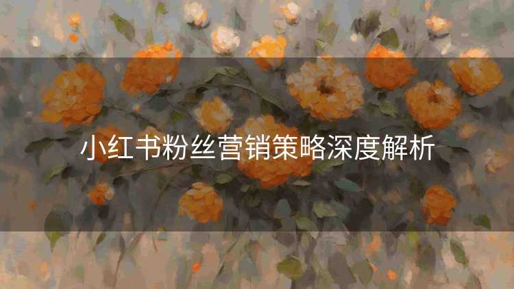 小红书粉丝营销策略深度解析