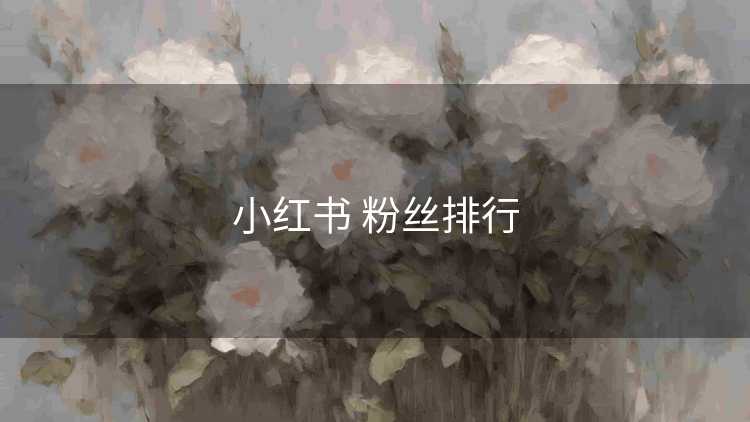 小红书 粉丝排行