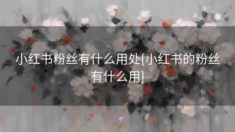 小红书粉丝有什么用处{小红书的粉丝有什么用}