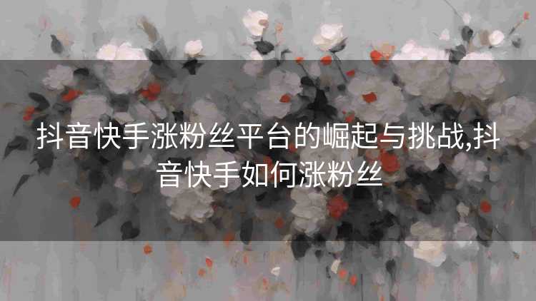 抖音快手涨粉丝平台的崛起与挑战,抖音快手如何涨粉丝