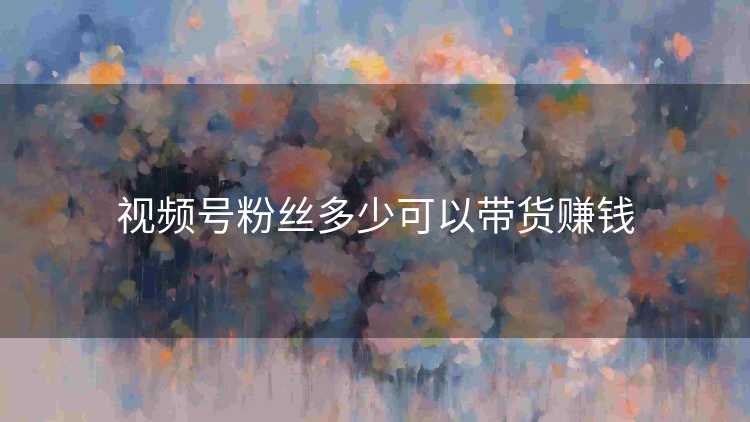 视频号粉丝多少可以带货赚钱
