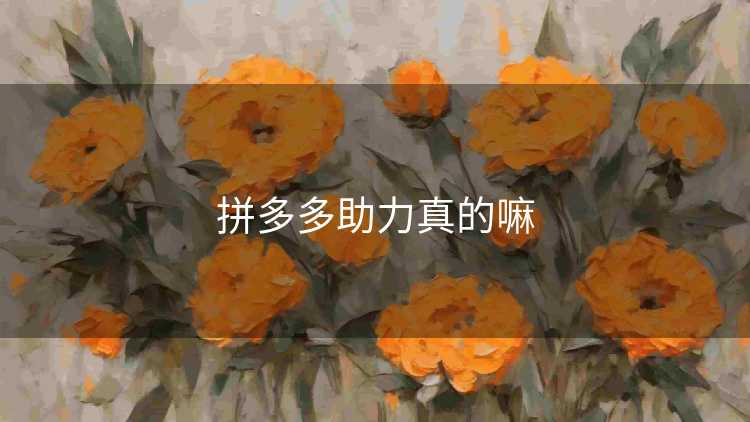 拼多多助力真的嘛