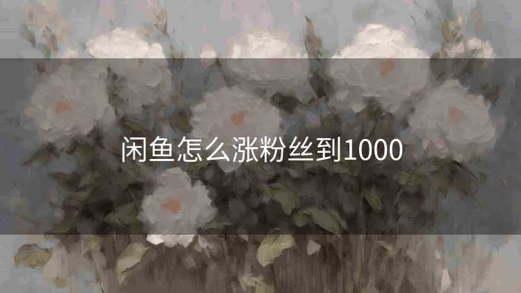 闲鱼怎么涨粉丝到1000