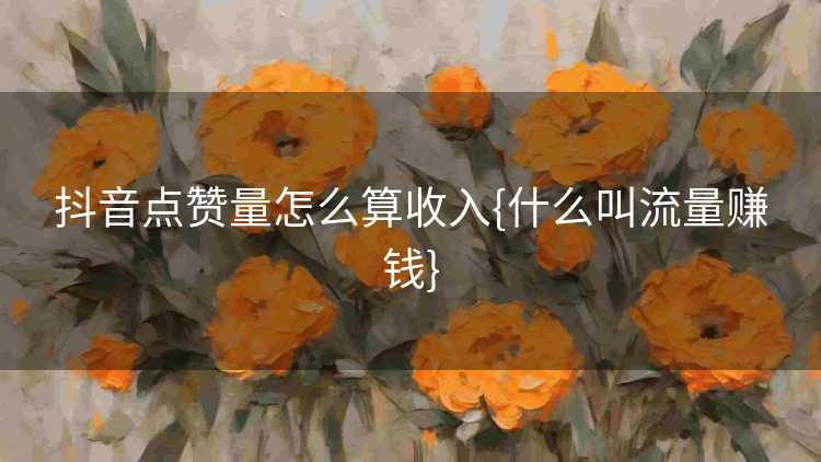 抖音点赞量怎么算收入{什么叫流量赚钱}