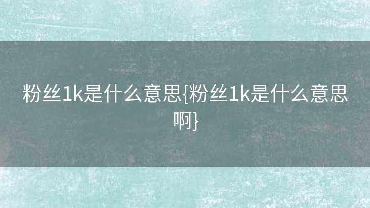 粉丝1k是什么意思{粉丝1k是什么意思啊}