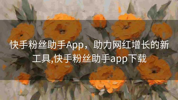 快手粉丝助手App，助力网红增长的新工具,快手粉丝助手app下载