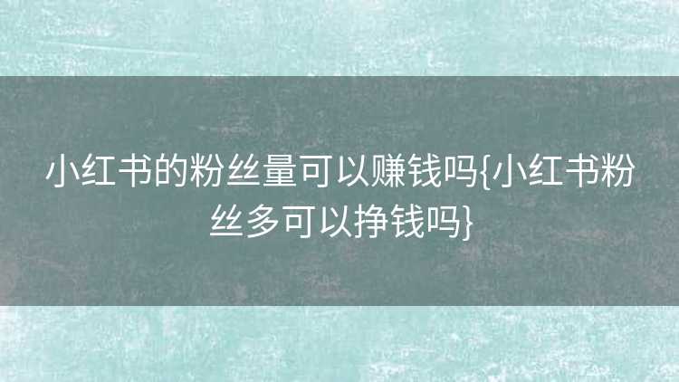 小红书的粉丝量可以赚钱吗{小红书粉丝多可以挣钱吗}