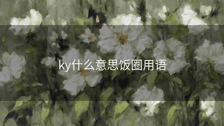 ky什么意思饭圈用语