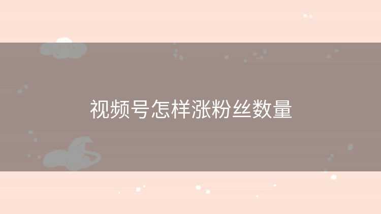 视频号怎样涨粉丝数量