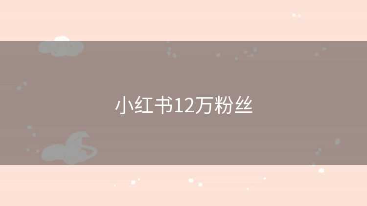 小红书12万粉丝