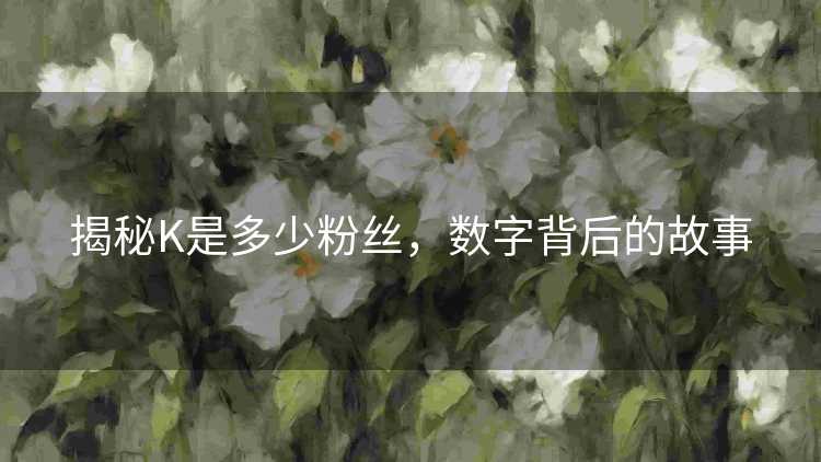 揭秘K是多少粉丝，数字背后的故事