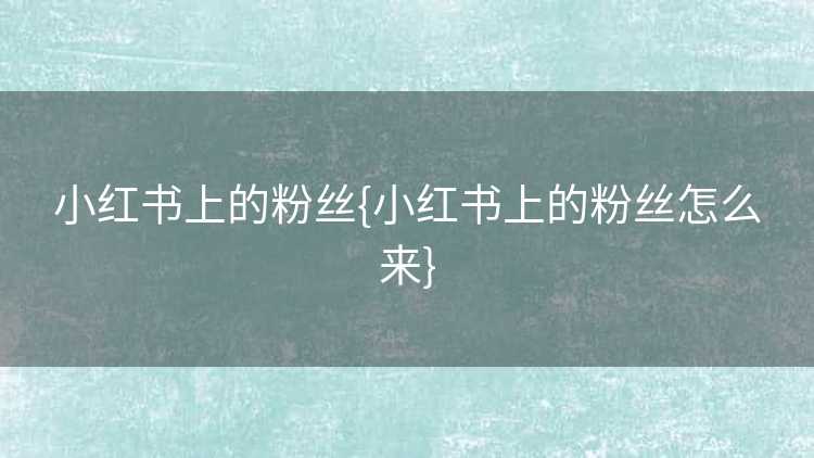 小红书上的粉丝{小红书上的粉丝怎么来}