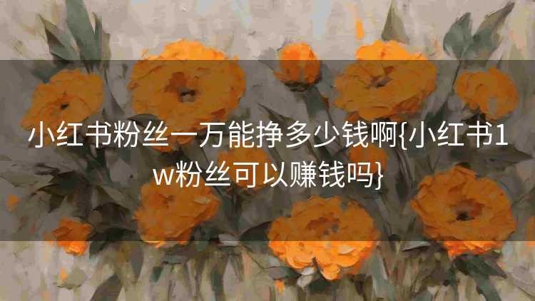 小红书粉丝一万能挣多少钱啊{小红书1w粉丝可以赚钱吗}