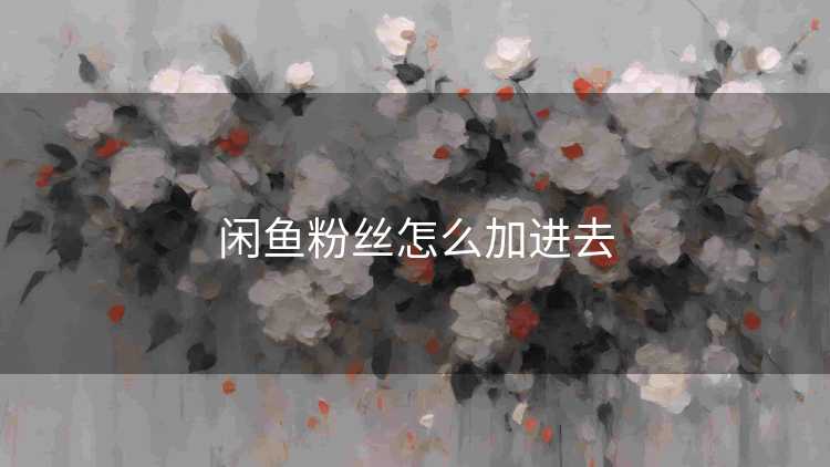 闲鱼粉丝怎么加进去