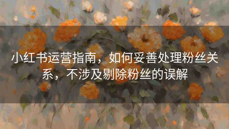 小红书运营指南，如何妥善处理粉丝关系，不涉及剔除粉丝的误解