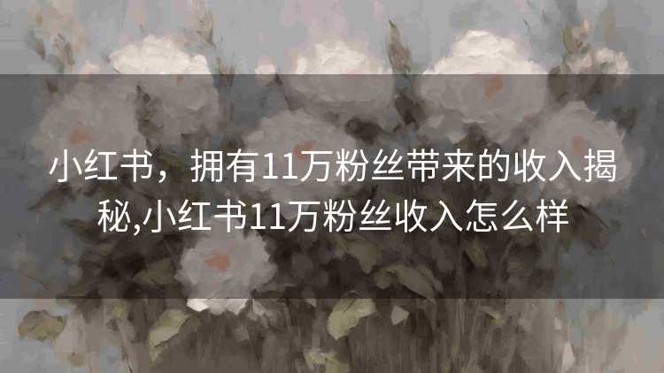 小红书，拥有11万粉丝带来的收入揭秘,小红书11万粉丝收入怎么样