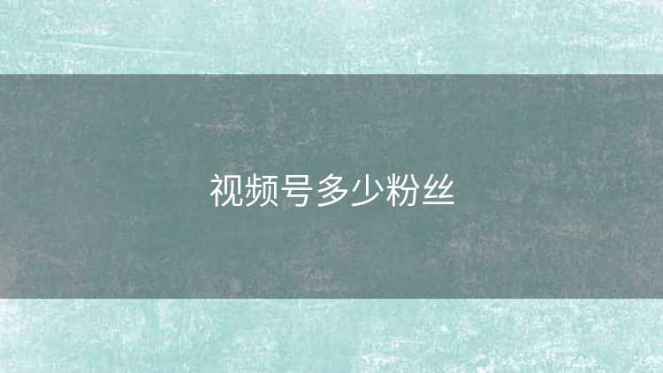 视频号多少粉丝