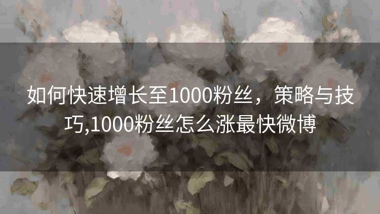 如何快速增长至1000粉丝，策略与技巧,1000粉丝怎么涨最快微博