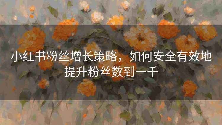 小红书粉丝增长策略，如何安全有效地提升粉丝数到一千